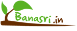 Banasri Tourism Pvt. Ltd.