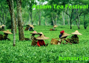 Assam-Tea-Festival | Banasri Tourism Private Limited | banasri.in