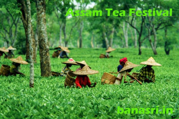 Assam-Tea-Festival | Banasri Tourism Private Limited | banasri.in