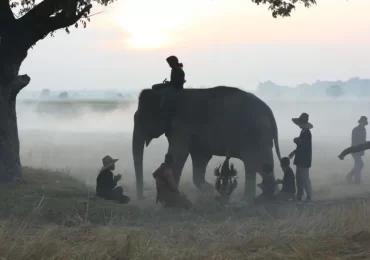 Pakhui Wildlife Sanctuary | Banasri Tourism Private Limited | banasri.in