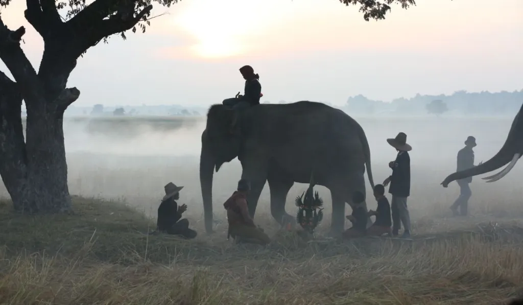 Pakhui Wildlife Sanctuary | Banasri Tourism Private Limited | banasri.in