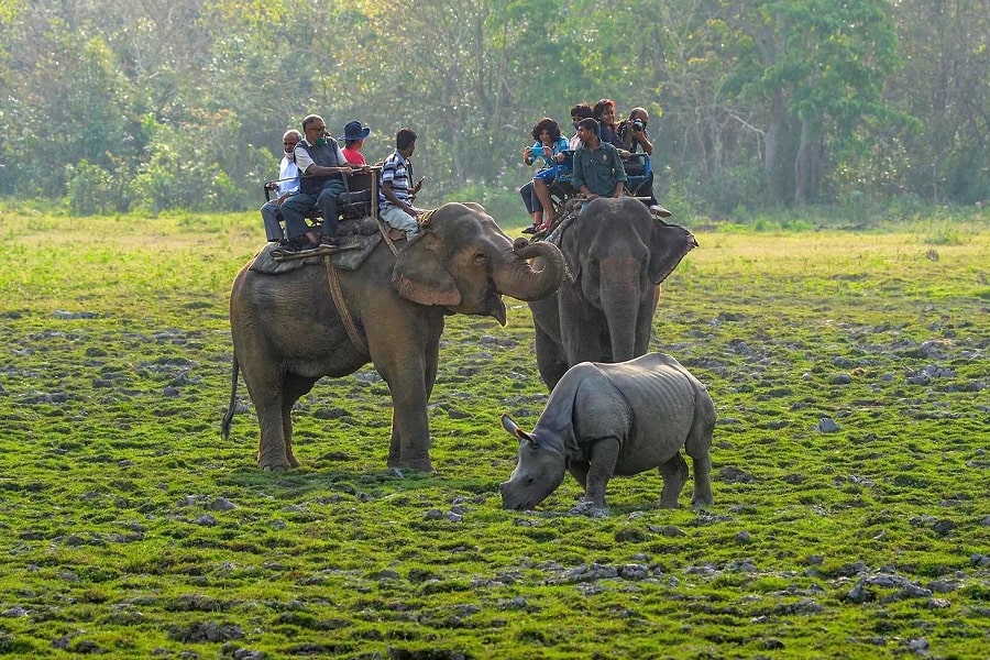 Arunachal Pradesh - Kaziranga National Park Tour Package | Banasri Tourism Private Limited | banasri.in