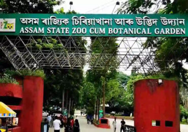 Assam State Zoo cum Botanical Garden