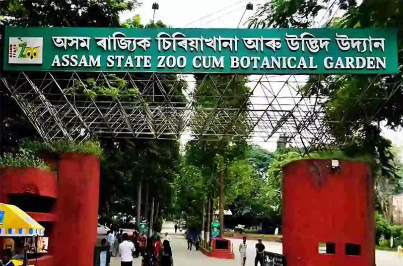 Assam State Zoo cum Botanical Garden