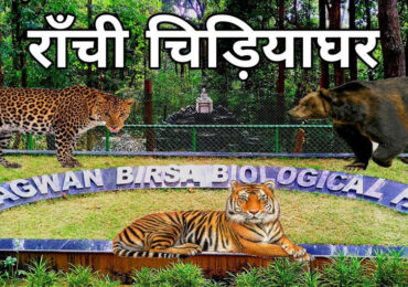 Bhagwan Birsa Biological Park, Ranchi