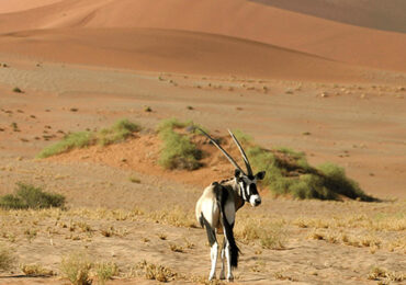 Desert National Park