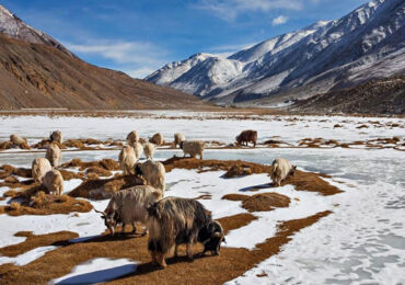 Hemis National Park