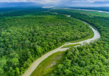 Jaldapara National Park