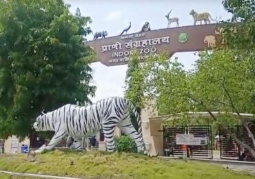 Kamla Nehru Prani Sangrahalaya Indore Zoo