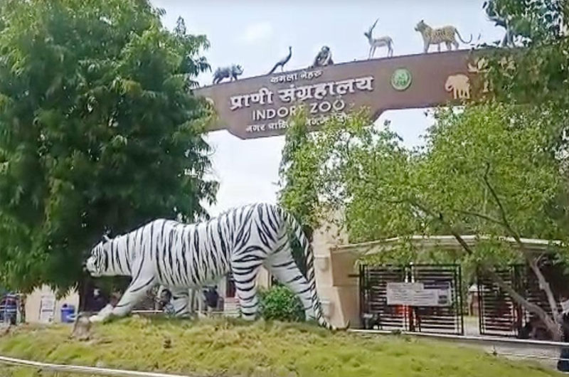 Kamla Nehru Prani Sangrahalaya Indore Zoo