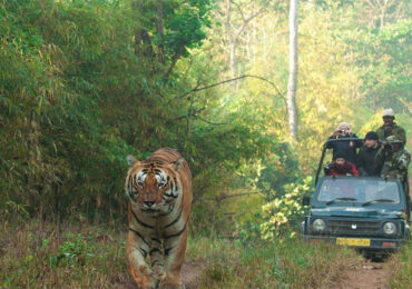 Kanha National Park