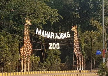 Maharaj Bagh Zoo, Nagpur