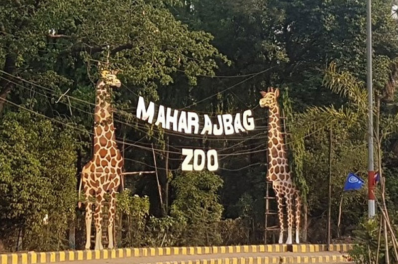 Maharaj Bagh Zoo, Nagpur