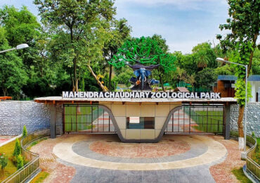 Mahendra Chaudhary Zoological Park