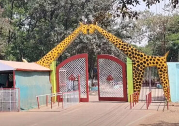 Maitri Bagh Zoo, Bhilai, Chhattisgarh