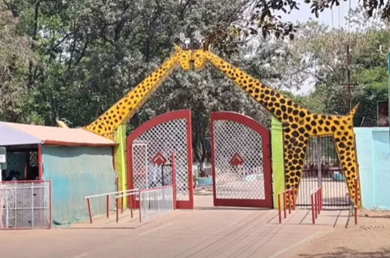 Maitri Bagh Zoo, Bhilai, Chhattisgarh