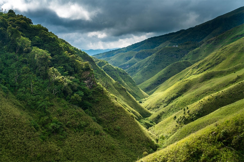 Nagaland Dzukou Valley | Banasri Tourism Private Limited | banasri.in