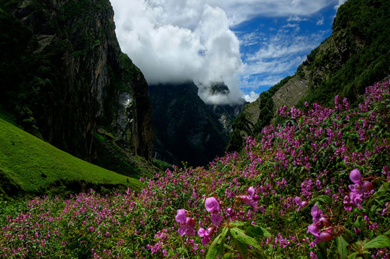 Nanda Devi National Park-banasri.in