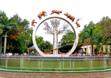 Nehru Zoological Park Hyderabad