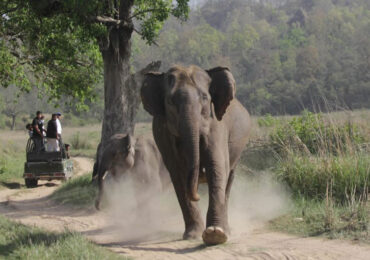 Rajaji National Park