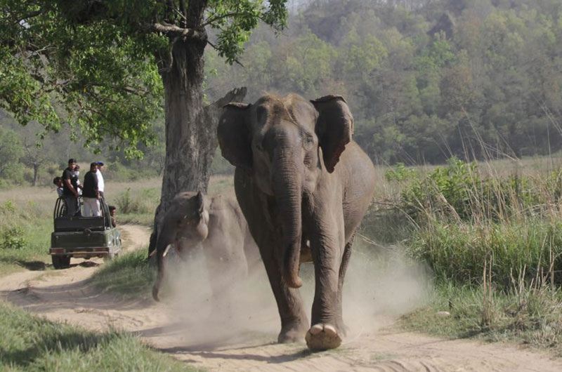 Rajaji National Park