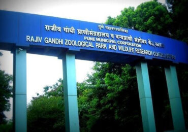 Rajiv Gandhi Zoological Park