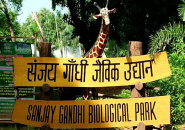 Sanjay Gandhi Biological Park, Patna