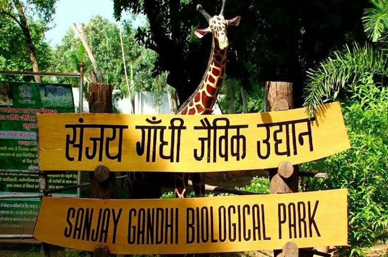 Sanjay Gandhi Biological Park, Patna