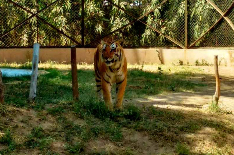 Sarthana Nature Park in Surat, Gujarat