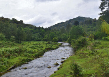 Talle Valley Wildlife Sanctuary Arunachal Pradesh