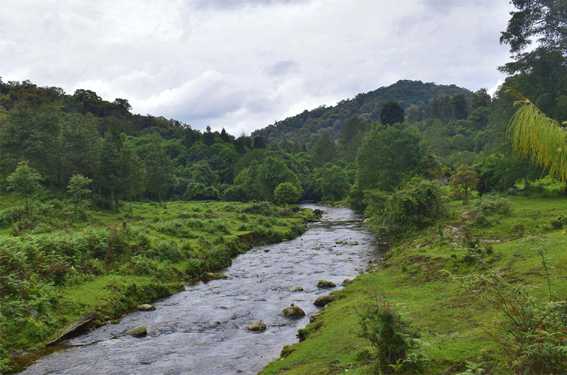 Talle Valley Wildlife Sanctuary Arunachal Pradesh