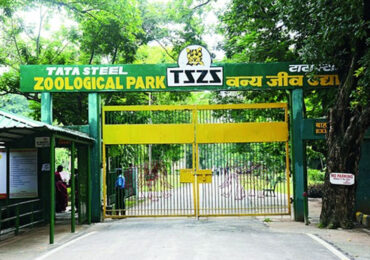 Tata Steel Zoological Park in Jamshedpur