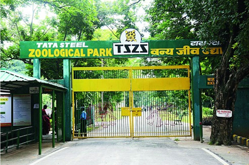 Tata Steel Zoological Park in Jamshedpur