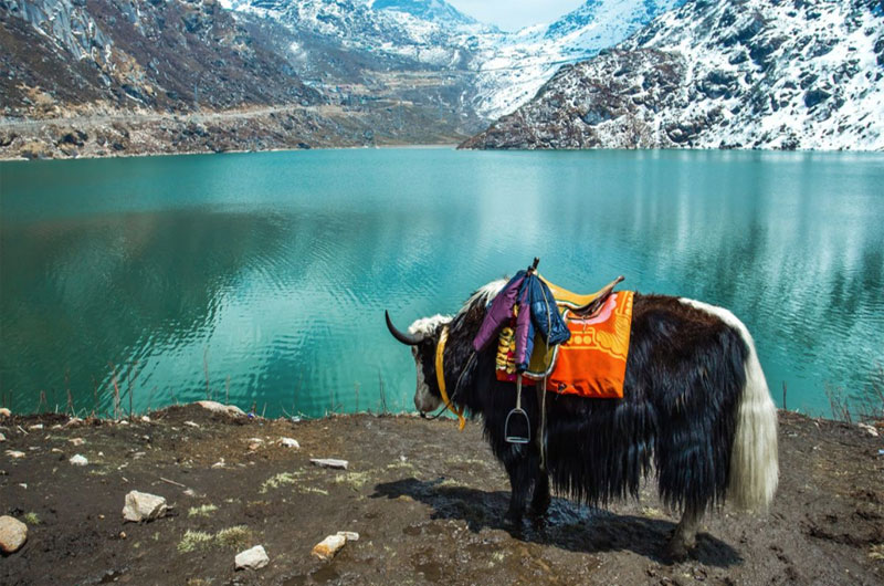 Top 30 Tourist destinations in Sikkim