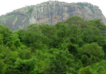 Vellore Amirthi Zoological Park in Tamil Nadu