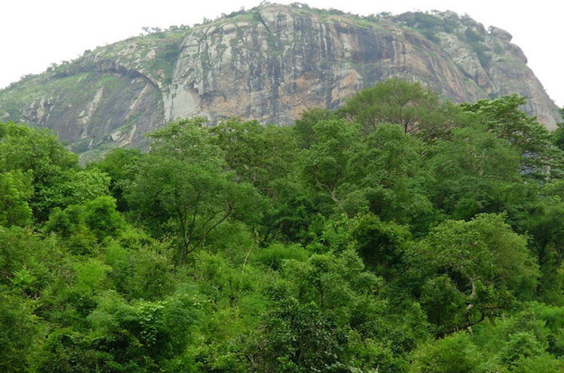 Vellore Amirthi Zoological Park in Tamil Nadu