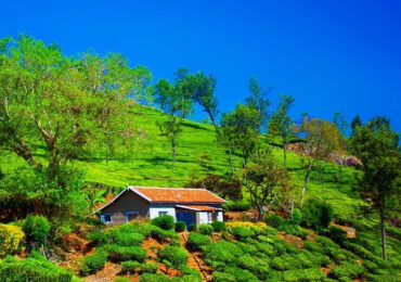 Coonoor Tamil Nadu | Banasri Tourism Private Limited