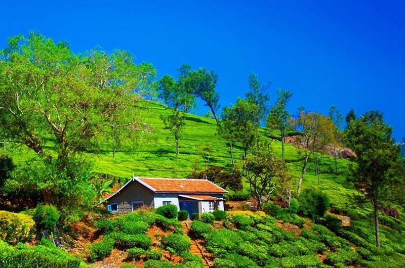 Coonoor Tamil Nadu | Banasri Tourism Private Limited