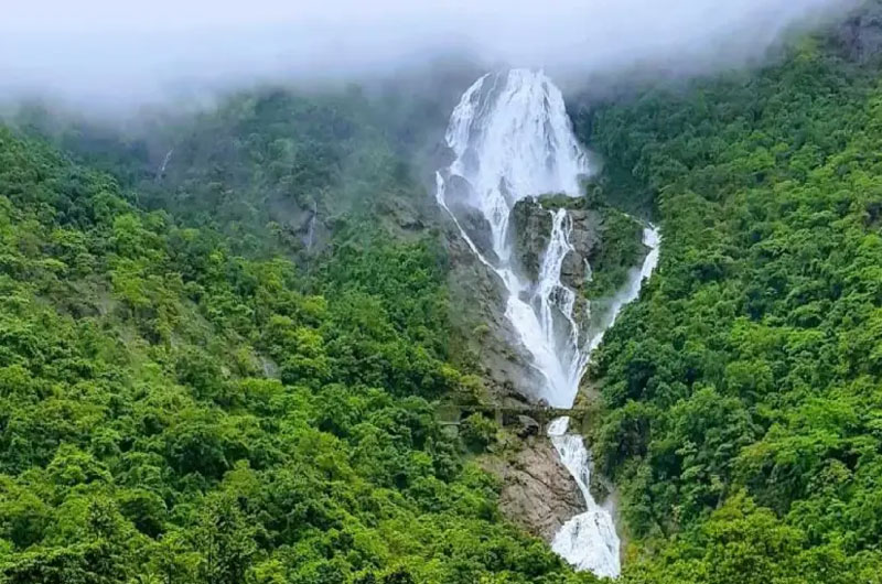 Dudhsagar Falls is one of the tallest waterfalls in India | Banasri Tourism Private Limited | banasri.in