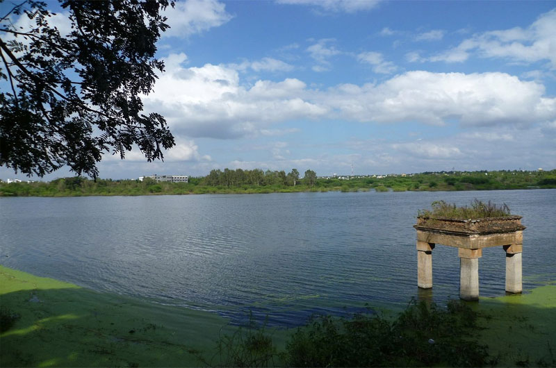 Lingambudhi Lake showcases traditional water management techniques | Banasri Tourism Private Limited | banasri.in