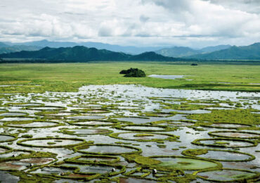 The largest freshwater lake in Northeast India | Banasri Tourism Private Limited | banasri.in