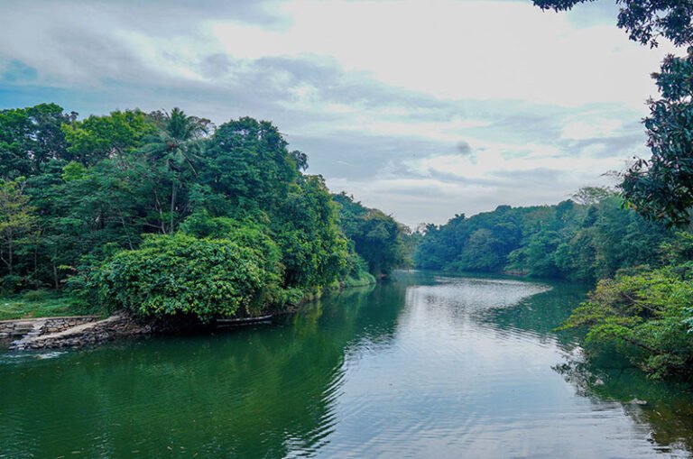 The Sacred Pamba River: Kerala’s Spiritual and Natural Lifeline - Tour ...