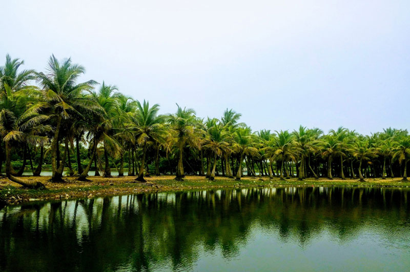 Paradise Beach is famous for its clean golden sands and crystal-clear waters | Banasri Tourism Private Limited | banasri.in