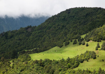 Sakteng Wildlife Sanctuary is nestled in the eastern part of Bhutan | Banasri Tourism Private Limited | banasri.in