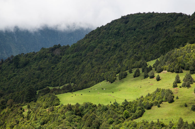 Sakteng Wildlife Sanctuary is nestled in the eastern part of Bhutan | Banasri Tourism Private Limited | banasri.in