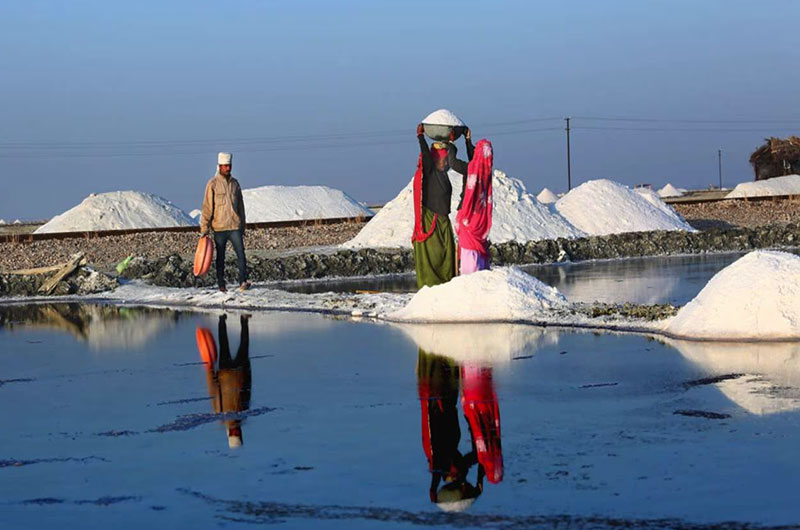 Sambhar Lake India's largest inland salt lake | Banasri Tourism Private Limited | banasri.in