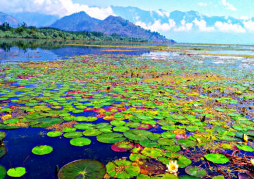 Wular Lake is one of the largest freshwater lakes in Asia | Banasri Tourism Private Limited | banasri.in