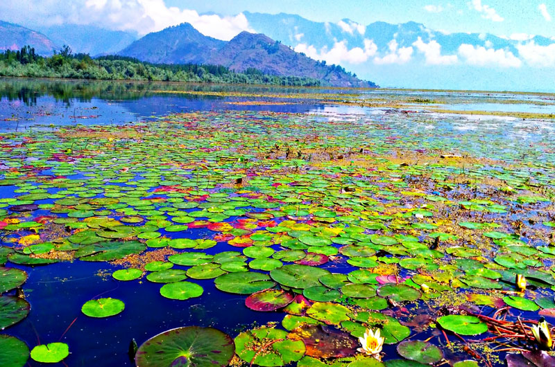 Wular Lake is one of the largest freshwater lakes in Asia | Banasri Tourism Private Limited | banasri.in