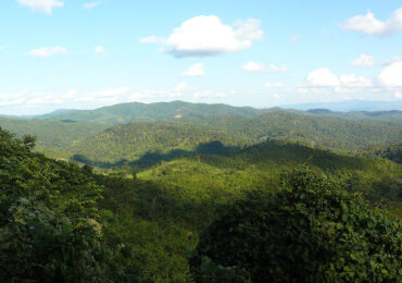 Yangoupokpi-Lokchao Wildlife Sanctuary is a biodiversity hotspot with diverse flora and fauna. | Banasri Tourism Pvt Ltd | banasri.in