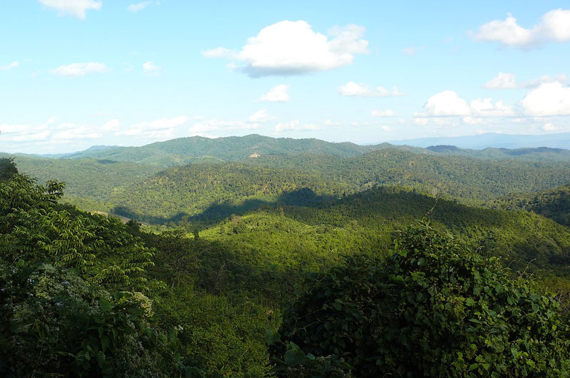 Yangoupokpi-Lokchao Wildlife Sanctuary is a biodiversity hotspot with diverse flora and fauna. | Banasri Tourism Pvt Ltd | banasri.in